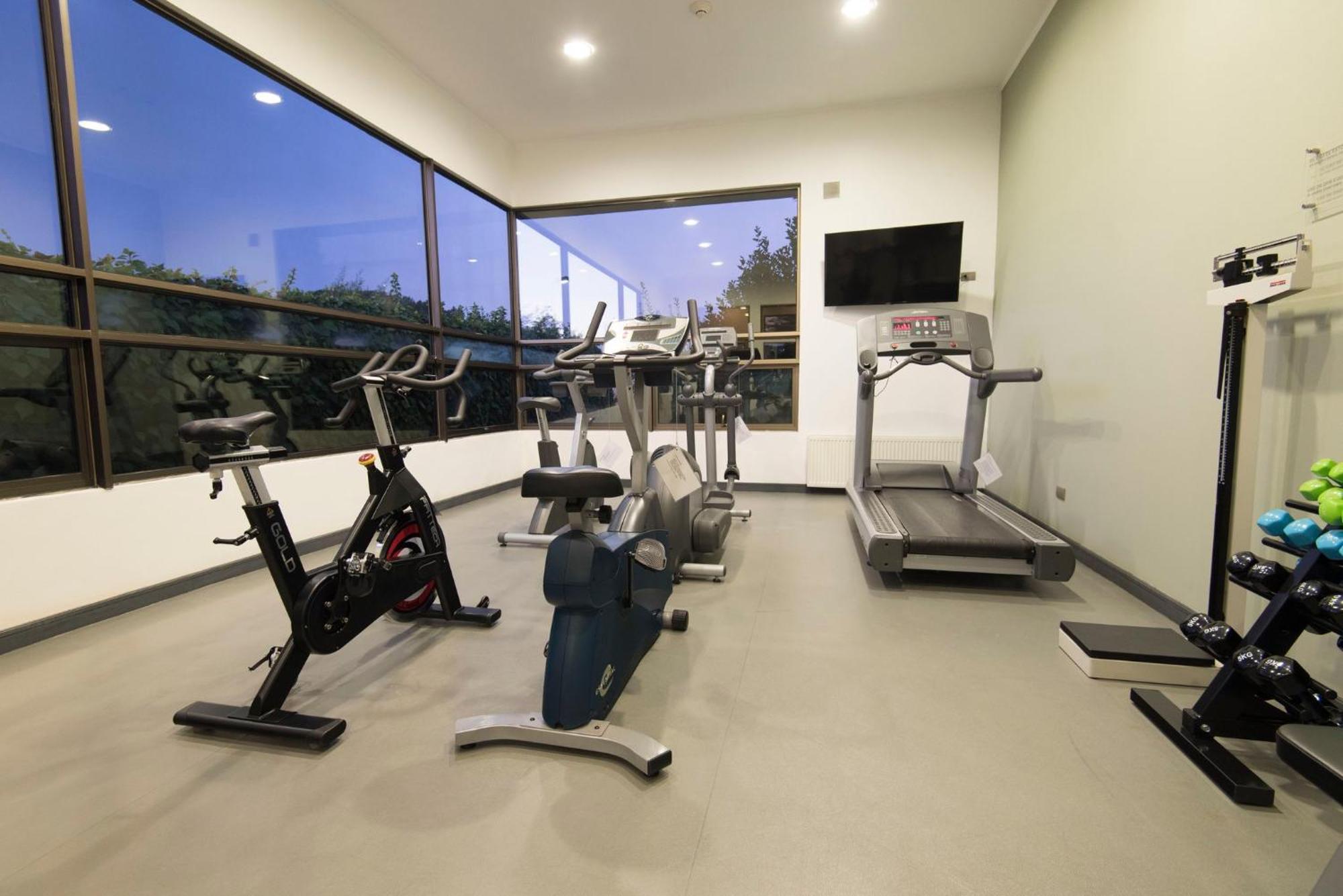 Holiday Inn Express - Temuco By Ihg Екстер'єр фото